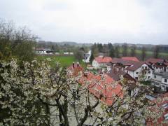 Grossansicht in neuem Fenster: Alpenstraße Blick nach Osten