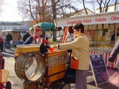 Grossansicht in neuem Fenster: Kathreinmarkt Grossansicht in neuem Fenster: Kathreinmarkt
