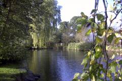 Grossansicht in neuem Fenster: Riederinger Weiher