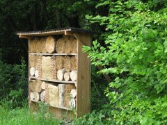 Grossansicht in neuem Fenster: Insektenhotel Grossansicht in neuem Fenster: Insektenhotel