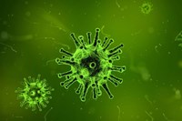 Informationen zum Corona-Virus des Landratsamtes Ebersberg