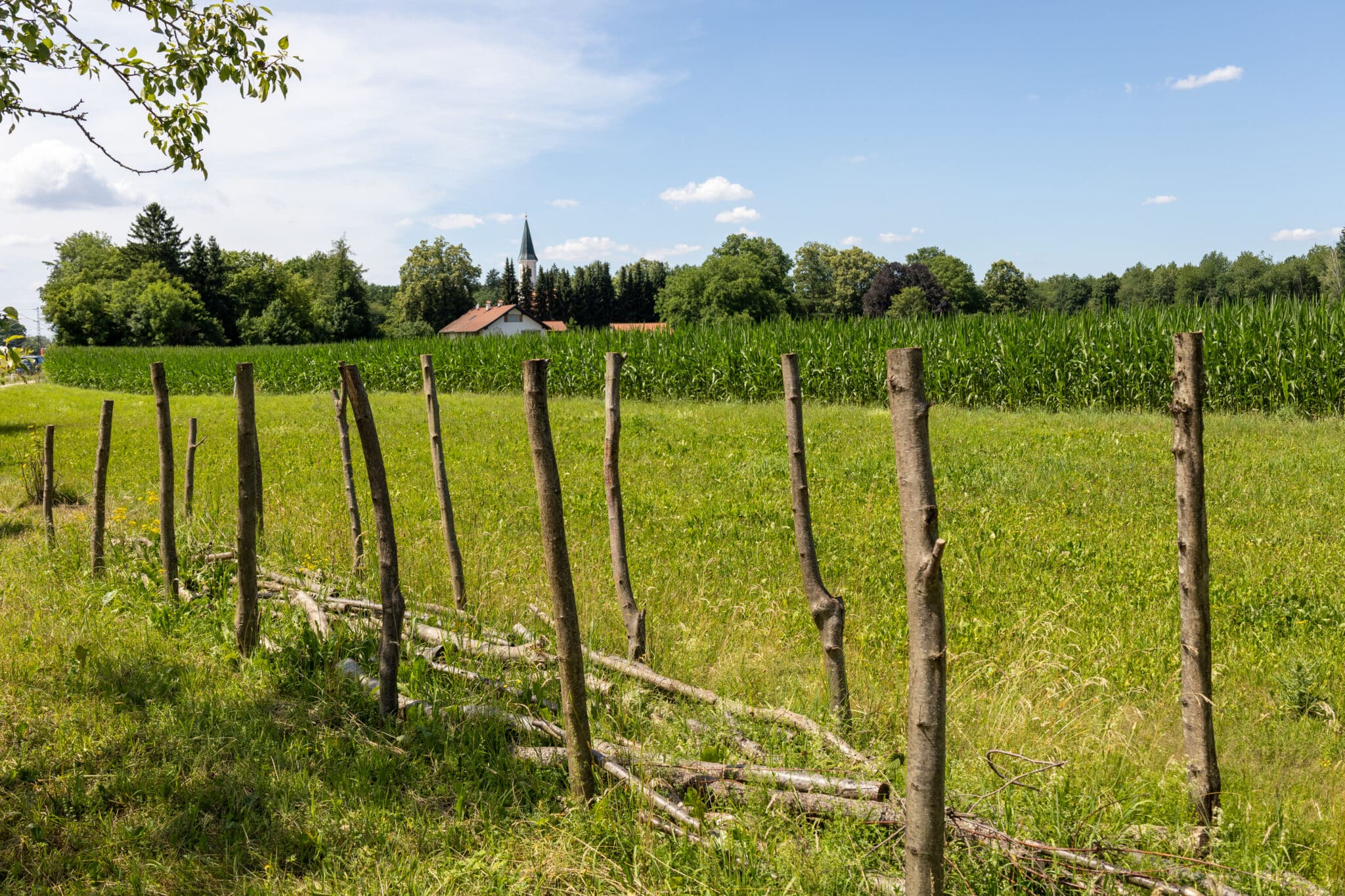 Streuobstwiese_Benjeshecke (2)